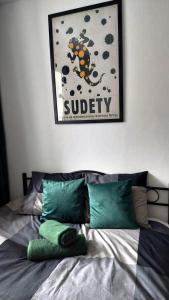 een bed met wat kussens en een foto aan de muur bij Salamandra - SUDETY in Głuszyca