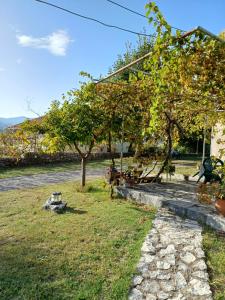 a garden with an apple tree and a swing at Sailor's Rustic House in Virpazar