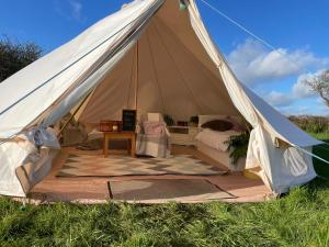 a tent with a bed and a table in a field at Trevena Cross Glamping in Helston