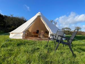 a white tent with two chairs in a field at Trevena Cross Glamping in Helston