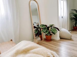 a bedroom with a mirror and potted plants at Vanilla! 1 Bedroom Apartment in Puerto de la Cruz