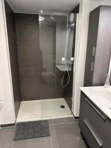 een badkamer met een douche, een toilet en een wastafel bij Joli appartement résidence neuve in Saint-Mandrier-sur-Mer
