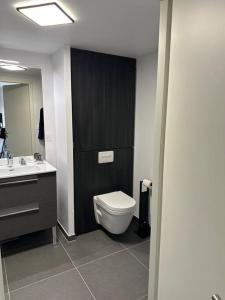 een badkamer met een toilet en een wastafel bij Joli appartement résidence neuve in Saint-Mandrier-sur-Mer