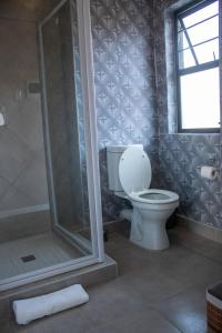 a bathroom with a toilet and a shower at ABGS AIR BnB 2 Bedroom Apartment in Lafrenz Township