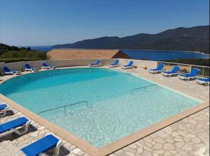 a large swimming pool with blue lounge chairs at La bergerie de Cupabia in Serra-di-Ferro +14 photos