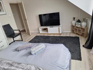 Un televizor și/sau centru de divertisment la Green Dream Apartment 5 persons