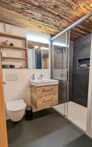 a bathroom with a shower and a toilet and a sink at Walliser Stadel in Fieschertal