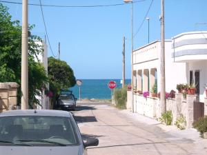 Táj Show holiday homes közelében