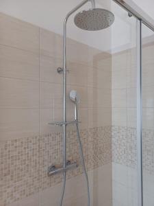 a shower with a glass door in a bathroom at Residenza La Lanterna in Genoa
