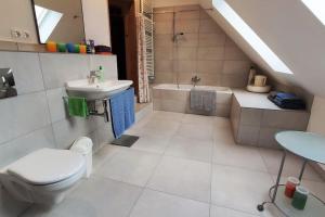 a bathroom with a toilet and a sink and a tub at Malu vintage house with garden in Logatec