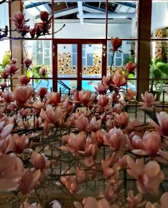 a bunch of pink flowers in a room at Metropol in Baile Felix