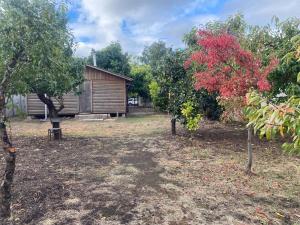 a cabin in the middle of a yard with trees at Cabaña en Quinchamalí in Quinchamali