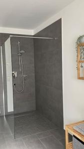 La salle de bains est pourvue d'une douche avec une porte en verre. dans l'établissement Ferienwohnung - nah an Phantasialand, Köln & Bonn, à Weilerswist