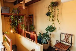 a room with plants on the wall and a chair at VILLA SAL in Lagoa