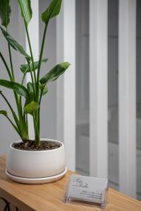 uma planta num vaso branco sobre uma mesa de madeira em Porto Vecchio em Chania