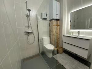 een badkamer met douche, toilet en wastafel bij Vue Meuse, en face de la citadelle in Dinant