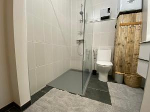 een badkamer met toilet en glazen douche bij Vue Meuse, en face de la citadelle in Dinant +17 foto's