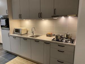een keuken met witte kasten, een wastafel en een magnetron bij Vue Meuse, en face de la citadelle in Dinant