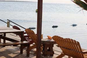 un chat assis sur une table près de l'eau dans l'établissement Hostel Santa Cruz del Islote, à Santa Cruz del Islote