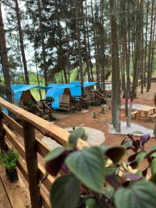 een groep picknicktafels met blauwe tenten in het bos bij El descanso casa-hotel zacatlán in Zacatlán