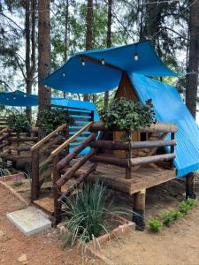 een houten bank met een blauwe paraplu erop bij El descanso casa-hotel zacatlán in Zacatlán