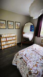 um quarto com uma cama e um espelho grande em Appartement des beaux-arts em Besançon