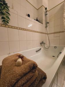 Koupelna v ubytování Extralarge Queen Room in the Heart of Bratislava with Terrace