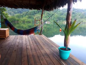 un'amaca e una pianta in vaso su un molo di legno di El Toucan Loco floating lodge a Tierra Oscura