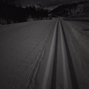 a snowy road with tire tracks in the snow at Kvamskogen & Hardanger Holliday homes in Norheimsund