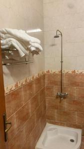 uma casa de banho com um chuveiro, um WC e um lavatório. em الديوان النجدي للشقق المخدومة em Ukaz