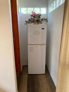 a small refrigerator with a plant on top of it at La casita in La Esmeralda 