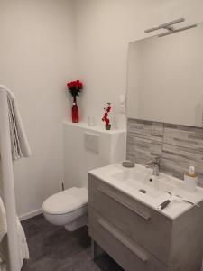 ein Badezimmer mit einem Waschbecken, einem WC und einem Spiegel in der Unterkunft La Rose Paisible in Brusson