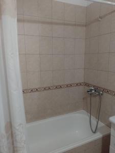 a bathroom with a bath tub with a shower at La Soñada in Tandil