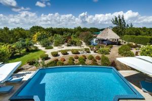 eine Luftansicht auf einen Garten mit einem Pool in der Unterkunft Luxury Villa, Perfect for Groups. Stunning Pool. Allamanda del Mar in Placencia Village