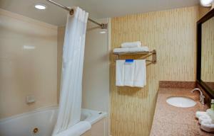 Ένα μπάνιο στο Holiday Inn Express Tyler South by IHG