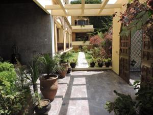 Zahrada ubytování Villa Quieta