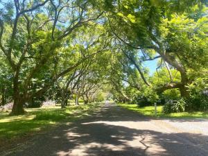 a road lined with trees on a sunny day at Entire Self-Contained Cabin on the Beautiful Mountain in Mount Tamborine