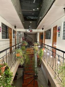 un couloir avec des plantes en pot dans un bâtiment dans l'établissement Hotel Virgen del Carmen - Huaraz, à Huaraz