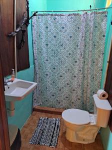 San Rafael的住宿－Posada Rio Celeste in，一间带水槽、卫生间和淋浴的浴室