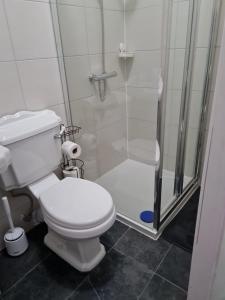 a bathroom with a toilet and a shower at Scotland Street, Newton Heath in Manchester