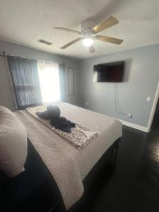 a bedroom with a bed with a ceiling fan at Home away from home in Kingsport