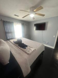 een slaapkamer met een bed en een plafondventilator bij Home away from home in Kingsport