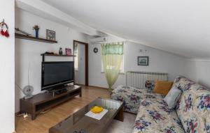 een woonkamer met een bank en een tv bij Cozy Apartment In Rijeka With Wi-fi in Rijeka