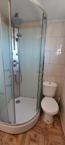 Cabaña Zorro Chilote في دالكاوي: حمام مع دش ومرحاض