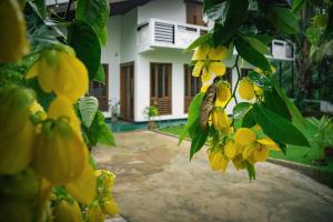Zahrada ubytování Sierra Mount Villa