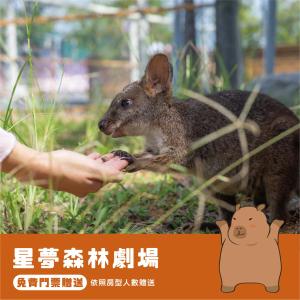 a person feeding a squirrel from a persons hand at Star Deco Resort in Dongshan