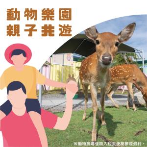 Altri animali domestici presso la stanza in casa privata o nei dintorni