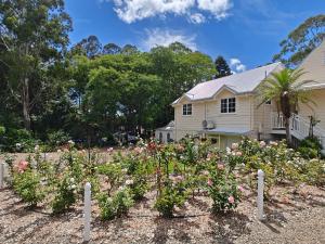 einen Rosengarten vor einem Haus in der Unterkunft WinterGreen Manor at Maleny in Maleny