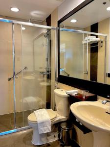 a bathroom with a shower and a toilet and a sink at Forest Lodge at Camp John Hay privately owned - Deluxe Queen Suite with balcony and Parking 269 in Baguio