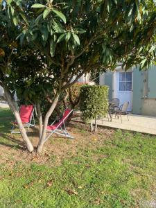 un groupe de chaises et un arbre à côté d'un bâtiment dans l'établissement Chez Christelle et Norbert, à Gallargues-le-Montueux